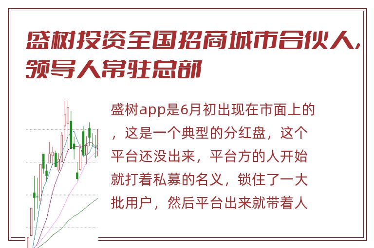 盛树投资全国招商城市合伙人，领导人常驻总部