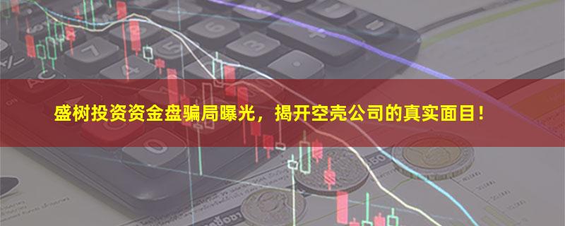 盛树投资.jpg