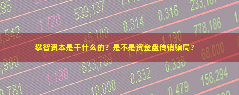 攀智资本.jpg